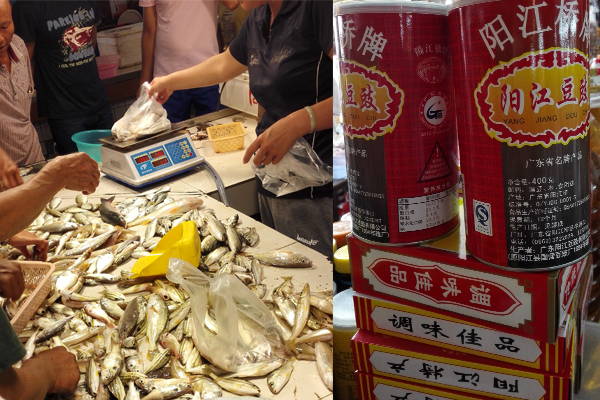 海陵島上的漁獲